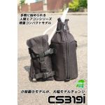 cs319i